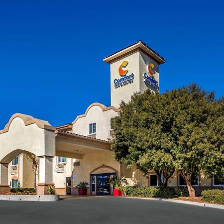 Comfort Inn & Suites Murrieta Temecula Wine Country Esterno foto