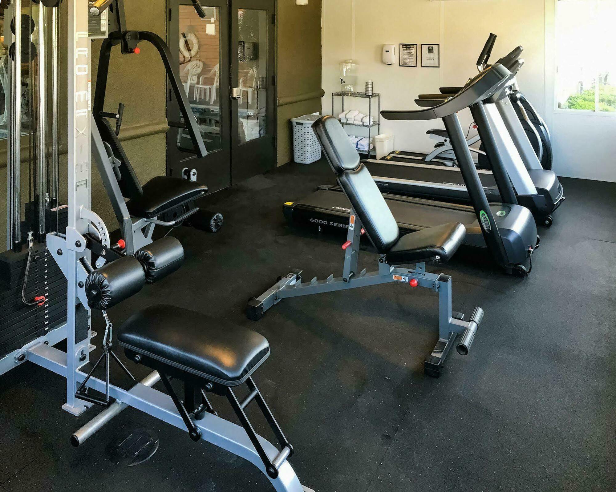 Comfort Inn & Suites Murrieta Temecula Wine Country Esterno foto